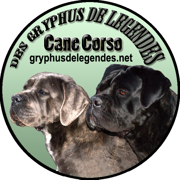 GRYPHUS DE LEGENDES
